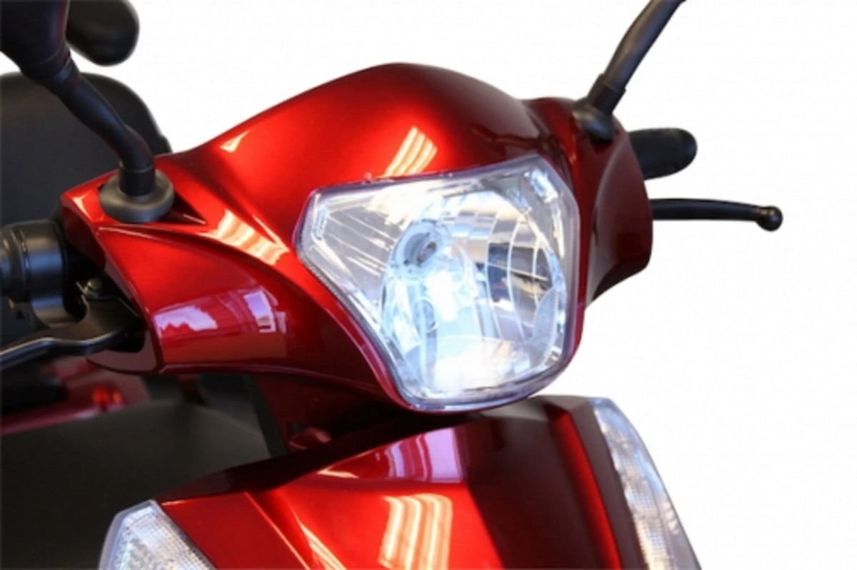 Heavy-Duty 2-Passenger Scooter O4175