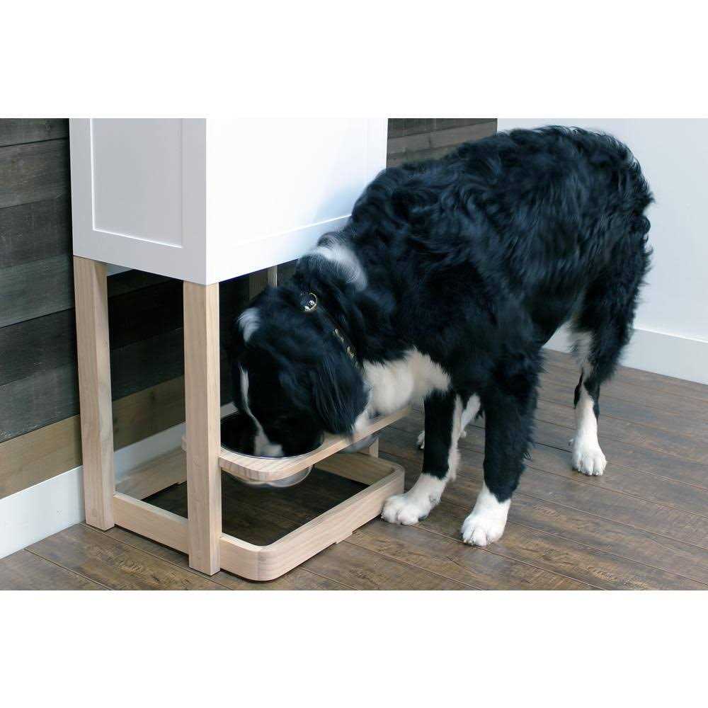 Pet Feeder Station L819424