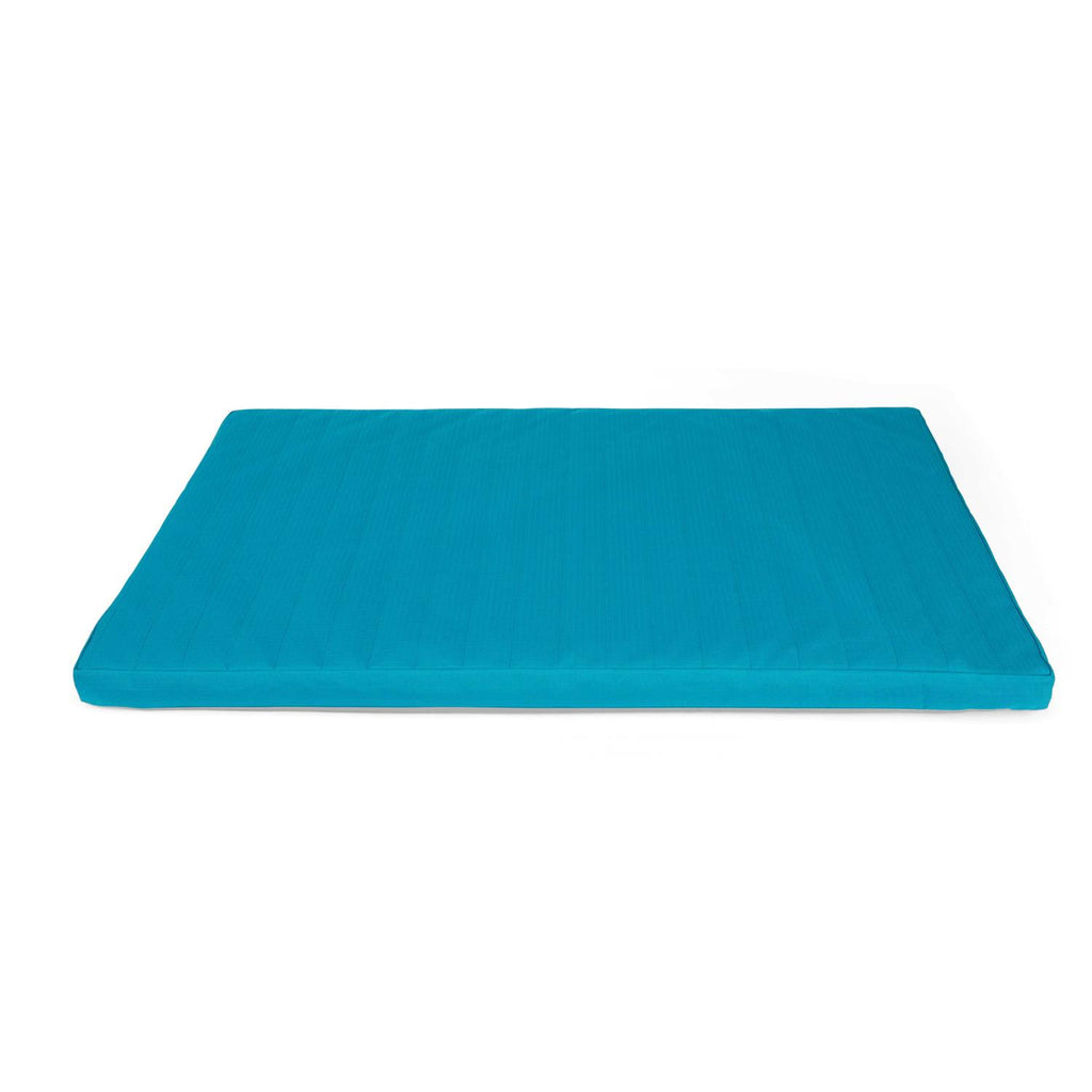 Teal Dog Mat V411