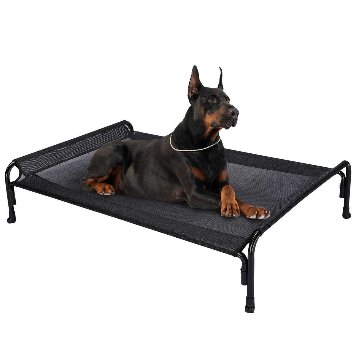 Elevated Dog Bed with Washable Mesh T40731