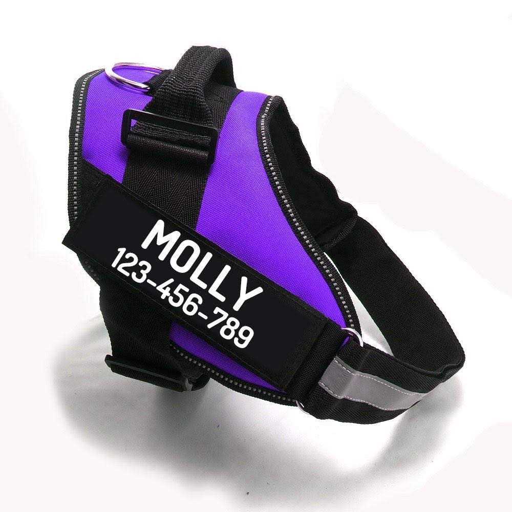 Easy-On No Pull Dog Harness H815