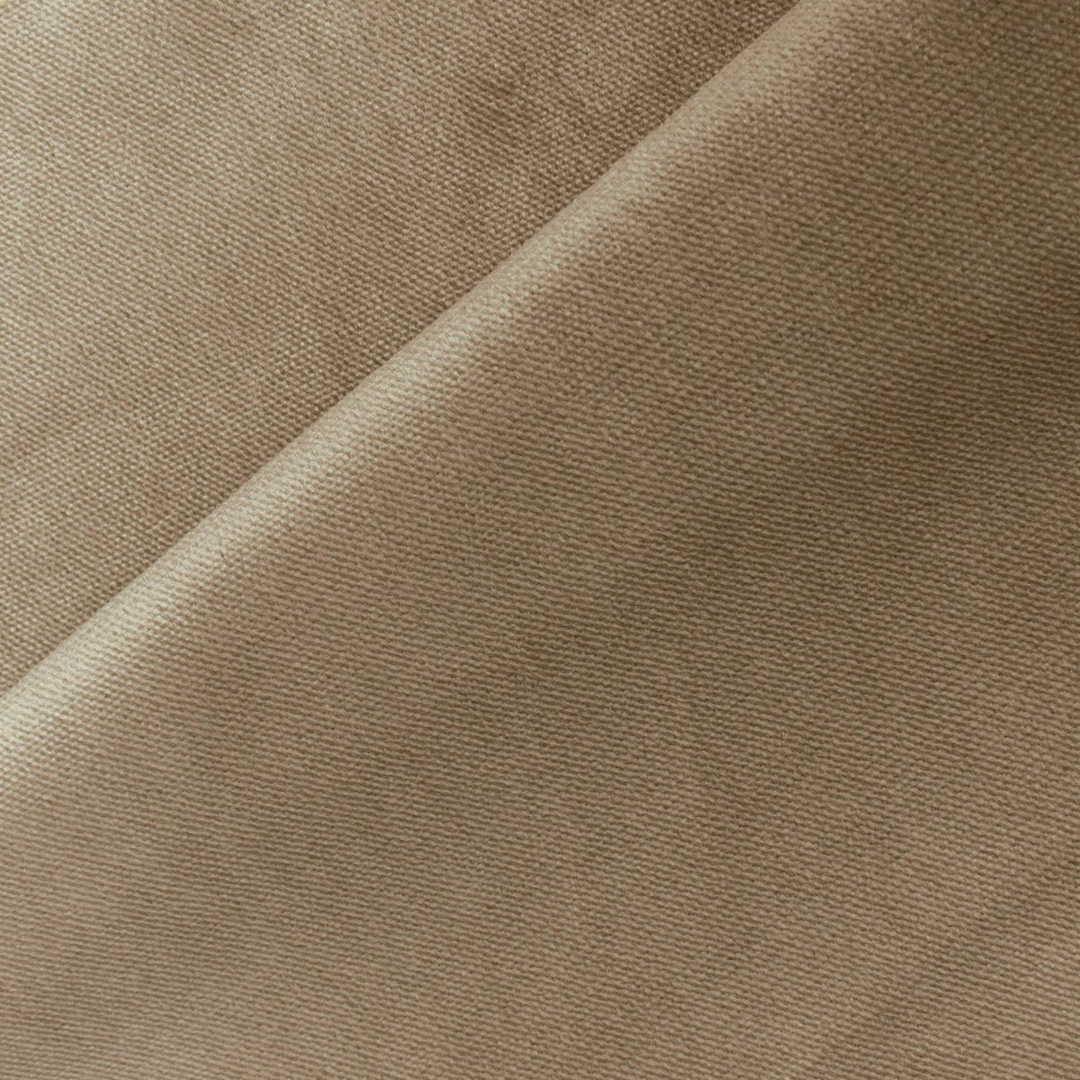 California King Tan Velvet Wingback Headboard M41584