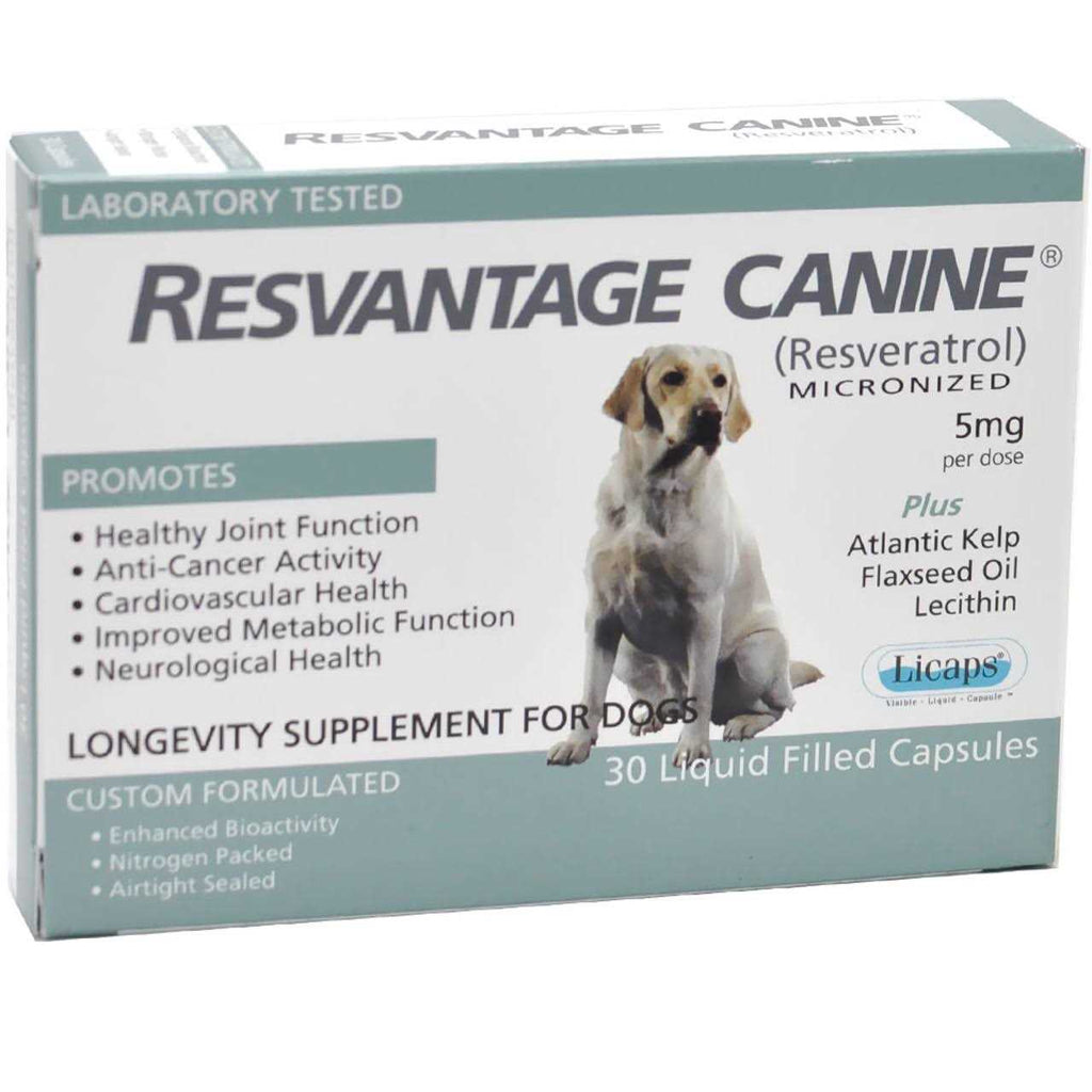 Pet Supplies N9089
