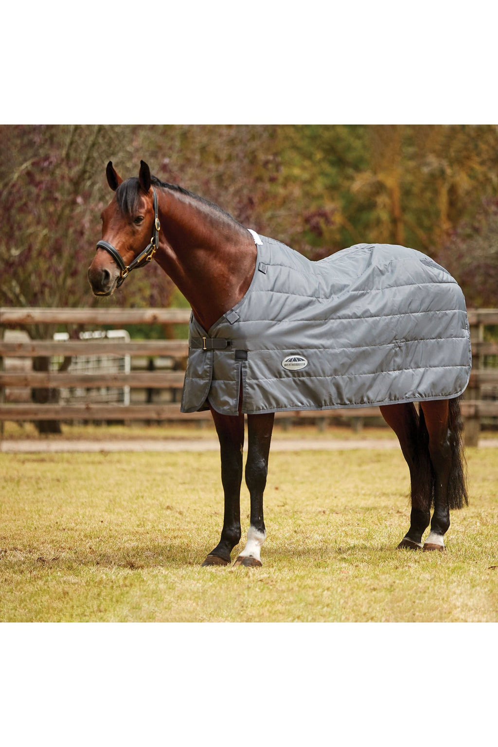 Medium Lite Liner L2866