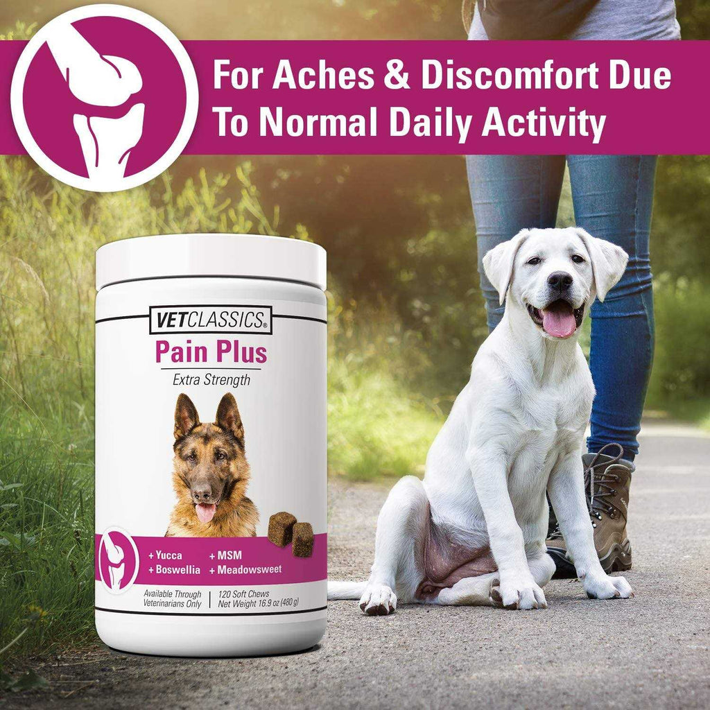 Pain Plus for Dogs I21912