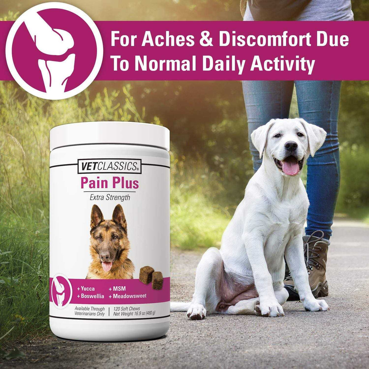 Pain Plus for Dogs I21912