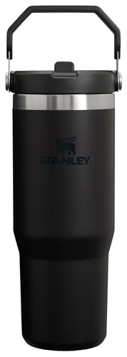 30 oz Insulated Stainless Steel Tumbler with Handle O633203
