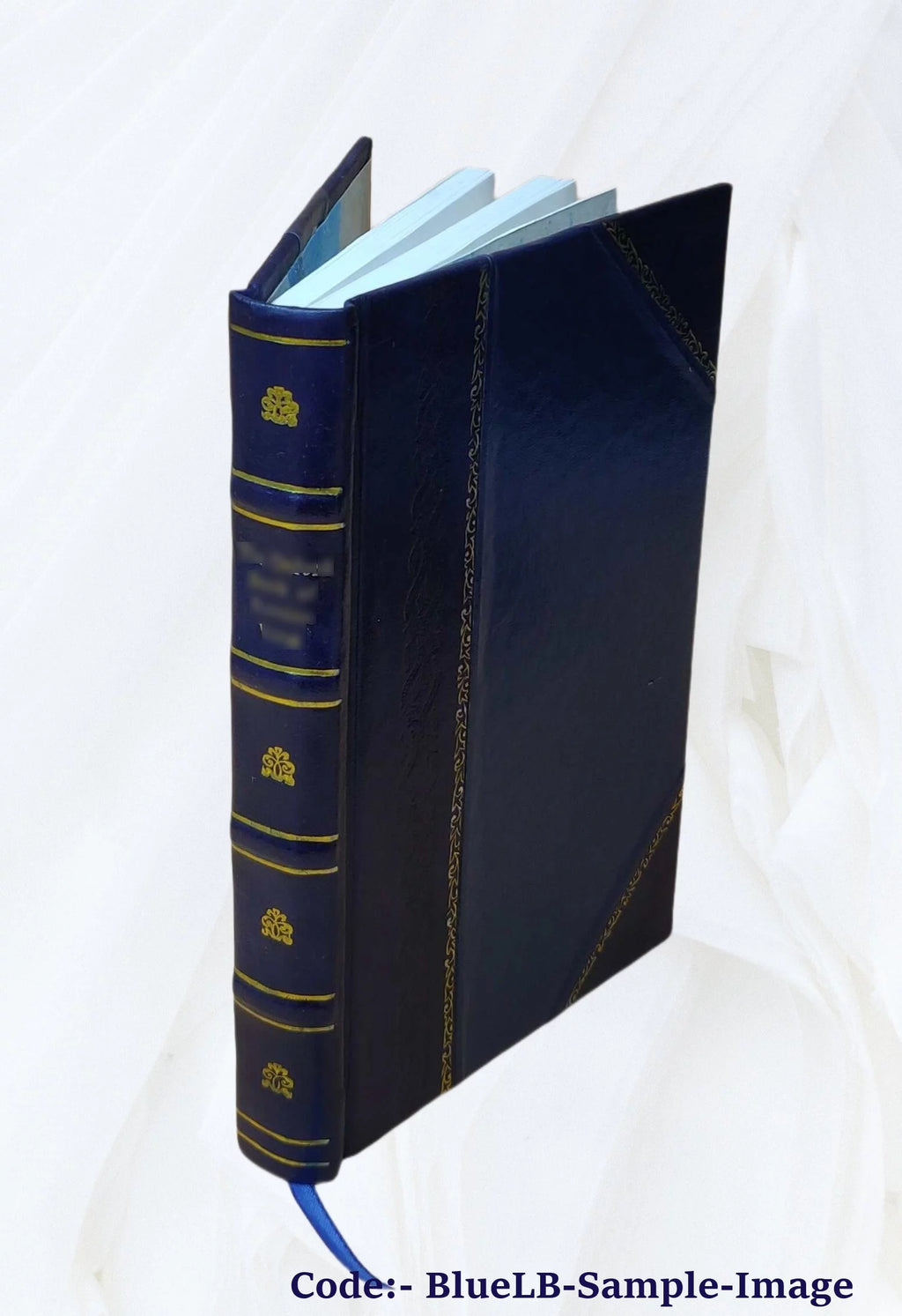 Snake River study Interim Report No 1 Leather Bound C65134