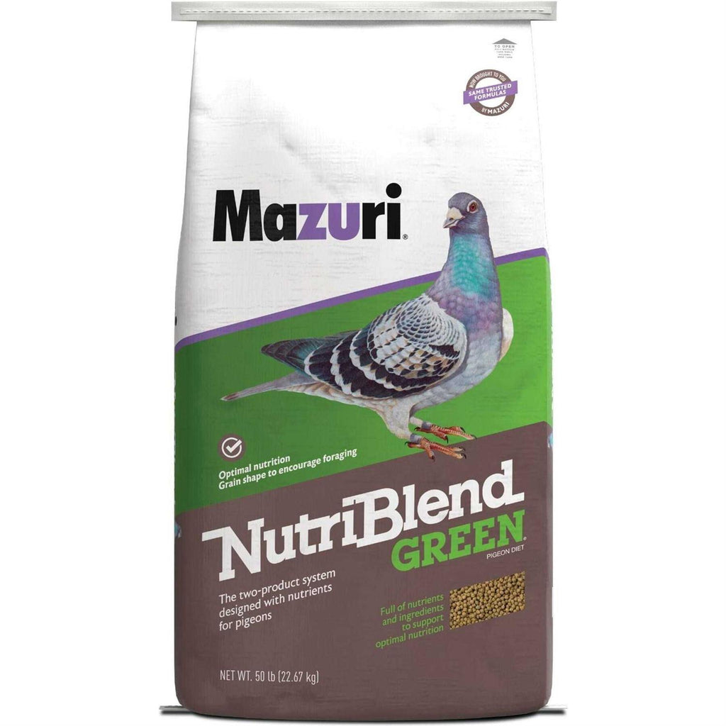 Green Pigeon Bird Food P863