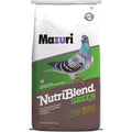 Green Pigeon Bird Food P863