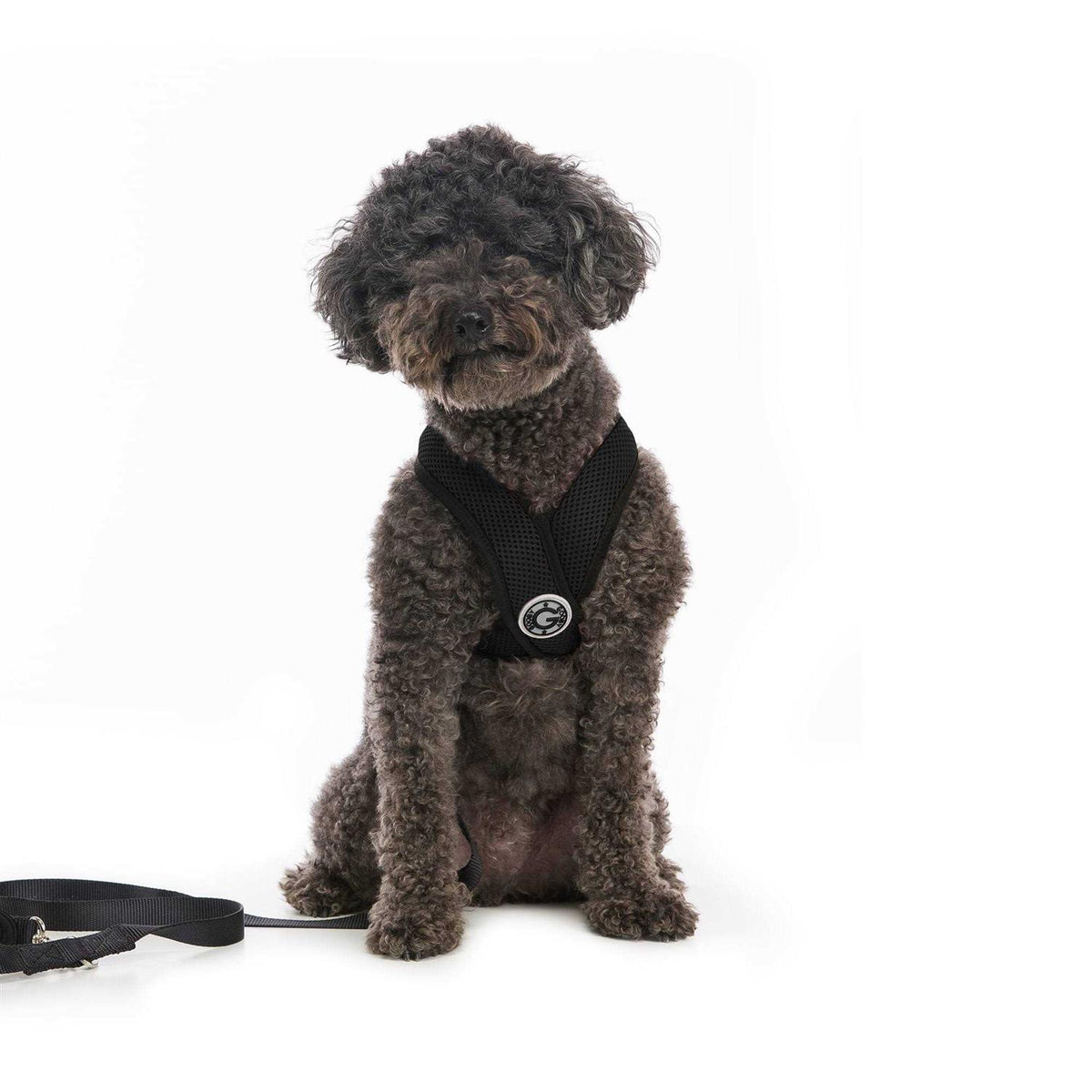 Step-In Dog Harness S141