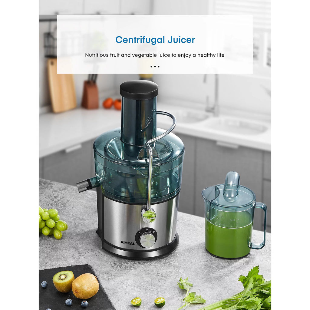 800W Wide Mouth Juicer Y500