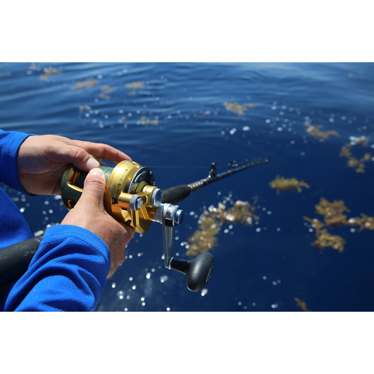 Conventional Fishing Reel R744693