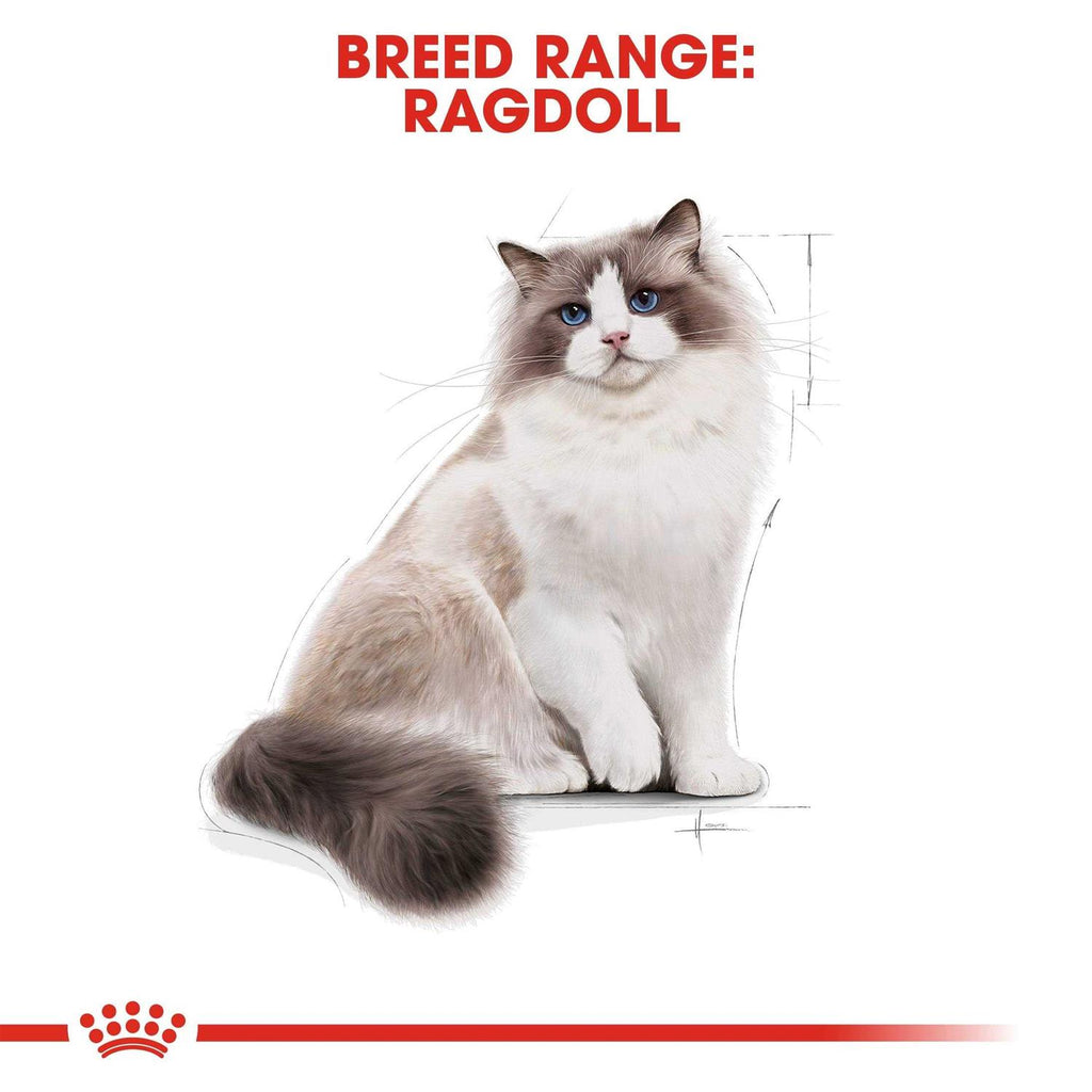Ragdoll Adult Cat Food B99521