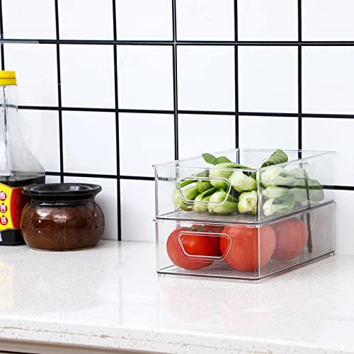 2 Pack Clear Plastic Stackable Storage Bin R500