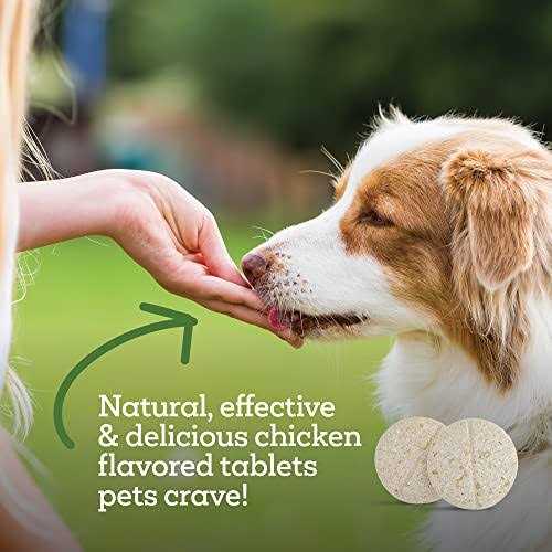 Oral Flea & Tick Chews for Dogs & Cats Y2070