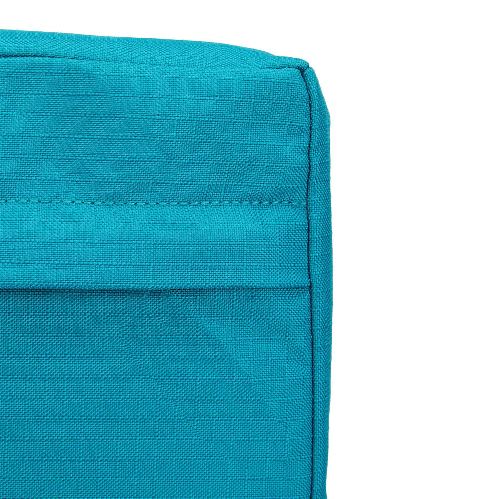 Teal Dog Mat V411