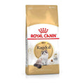 Ragdoll Adult Cat Food B99521