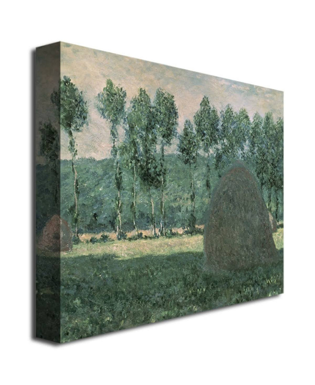 Canvas Art A8518