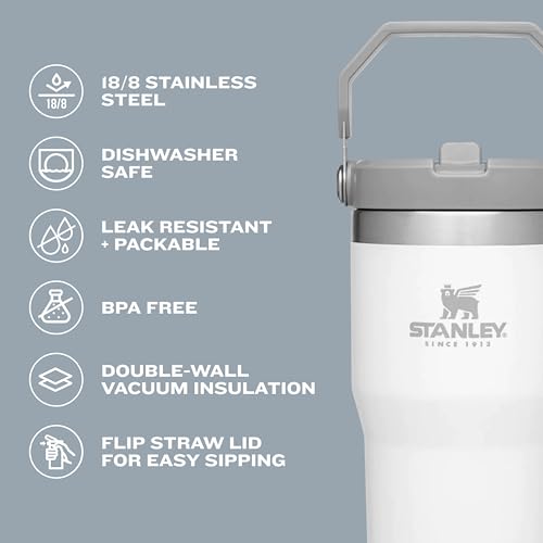 30 oz Insulated Stainless Steel Tumbler with Handle O633203