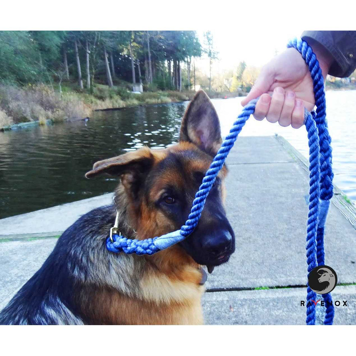 Cotton Rope Leash A113613