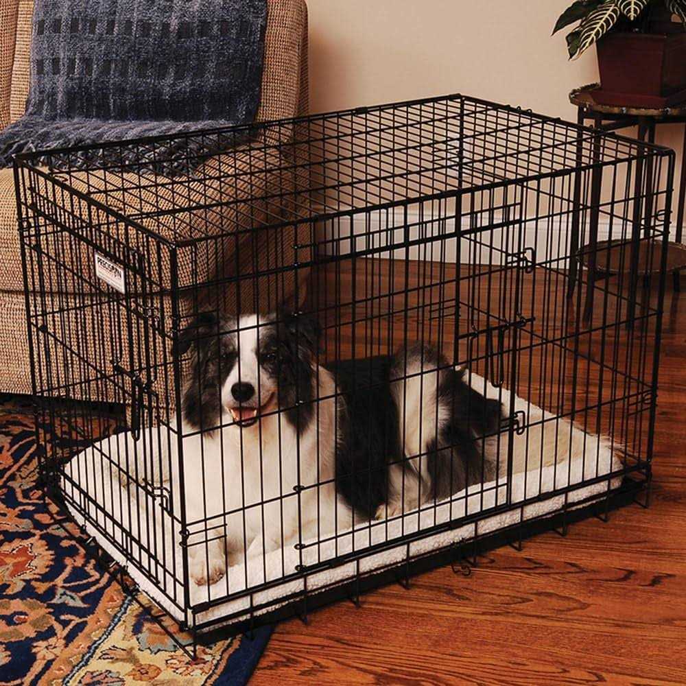 2-Door Pet Crate P884812