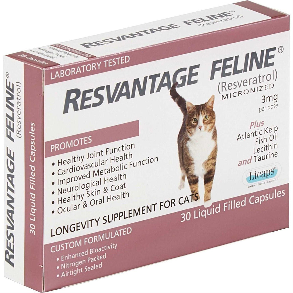 Pet Supplies N9089