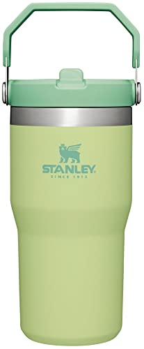 30 oz Insulated Stainless Steel Tumbler with Handle O633203