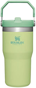 30 oz Insulated Stainless Steel Tumbler with Handle O633203