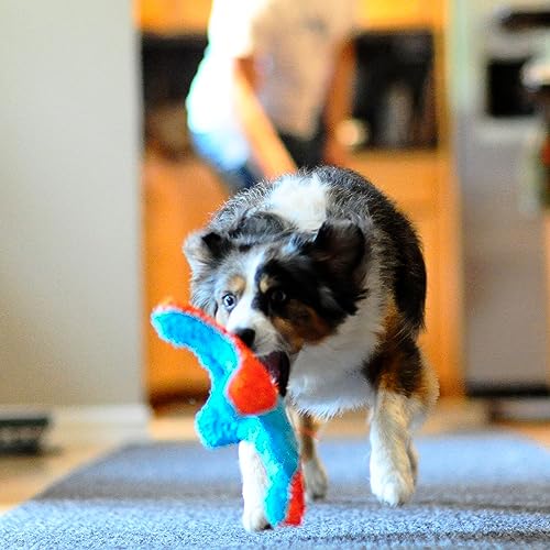 Orange and Blue 6.5 Inch Dog Toy M95866