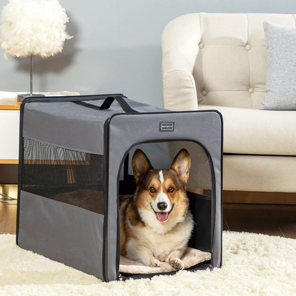 Collapsible Medium Dog Travel Crate Pack of 2 O254013