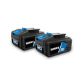 2-pack 20-Volt 4.0Ah Lithium-Ion Batteries Z84679