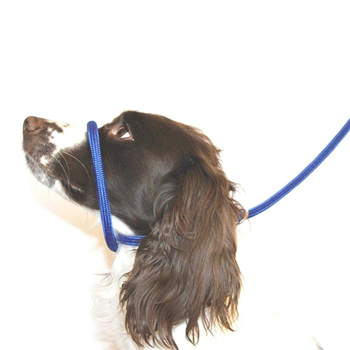 Anti Pull Dog Leash Halter Head Collar One Size Fits All D6488
