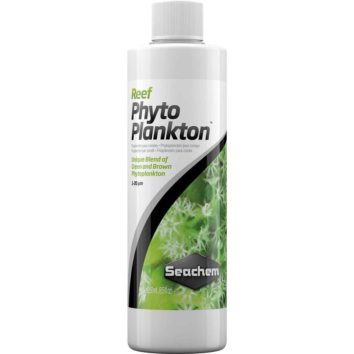 Reef Phytoplankton F137