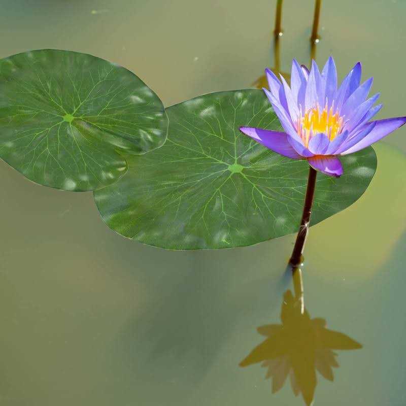 Artificial Lotus Leaves Lily Pads Floating Foam V767