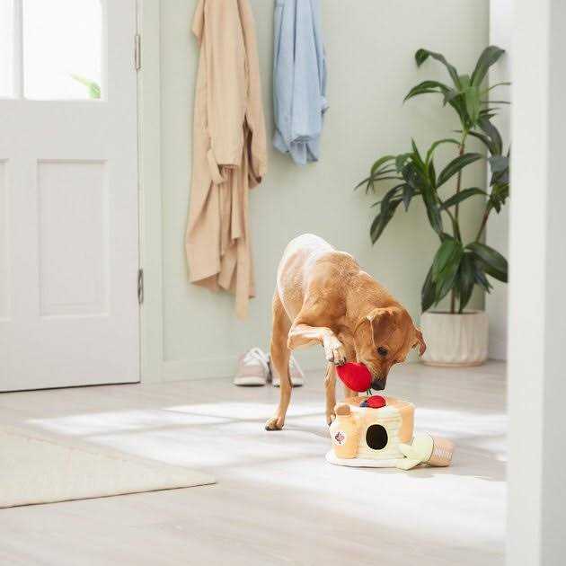 Plush Squeaky Dog Toy H99200