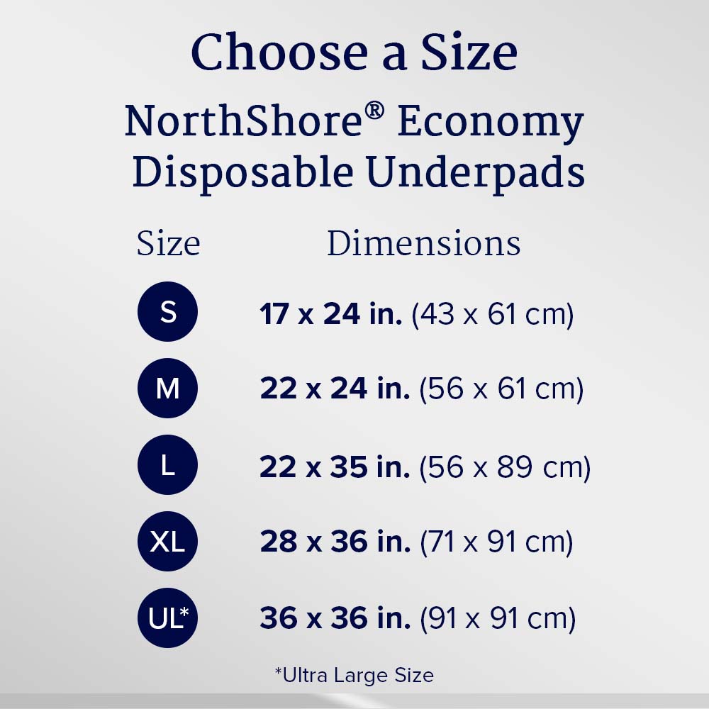 Economy Disposable Underpads, Large, 22x35 in., Case/150 C556361