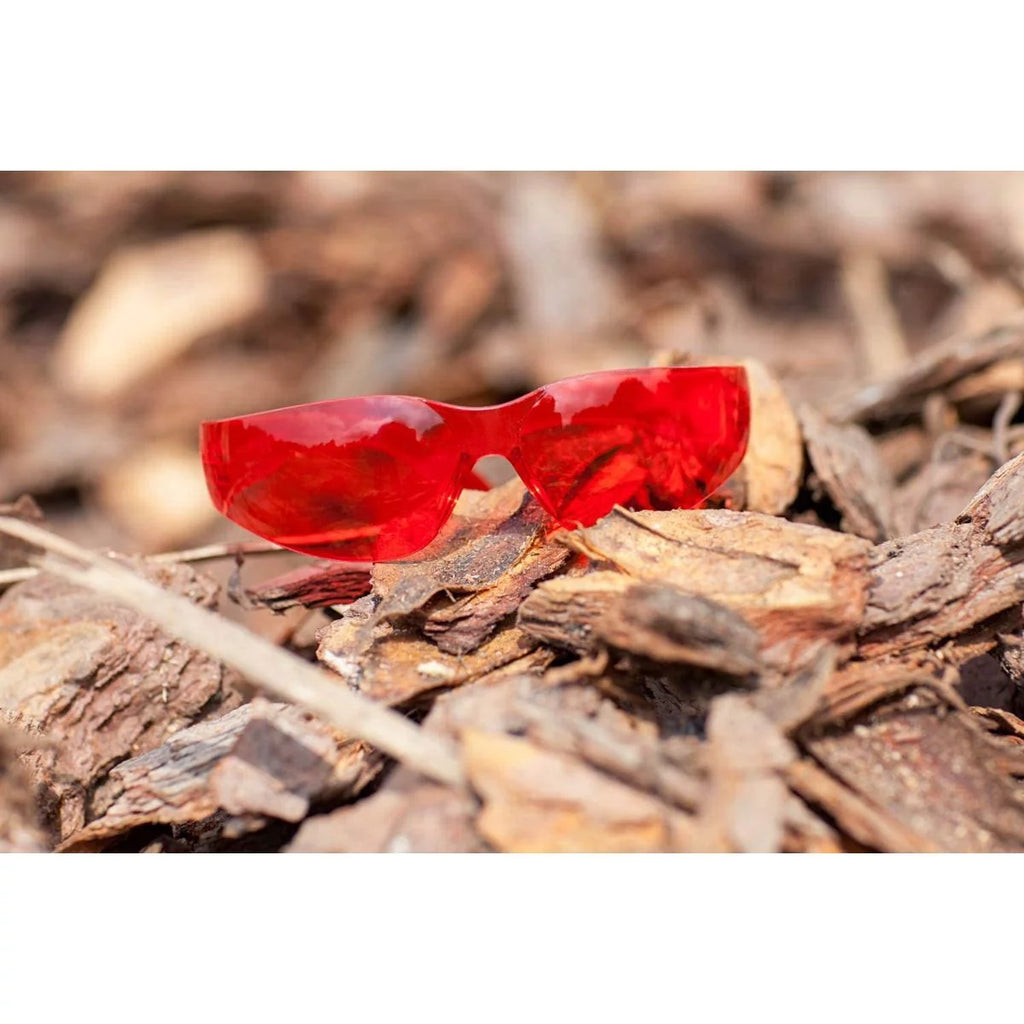 Red Safety Glasses Pack of 144 P721113