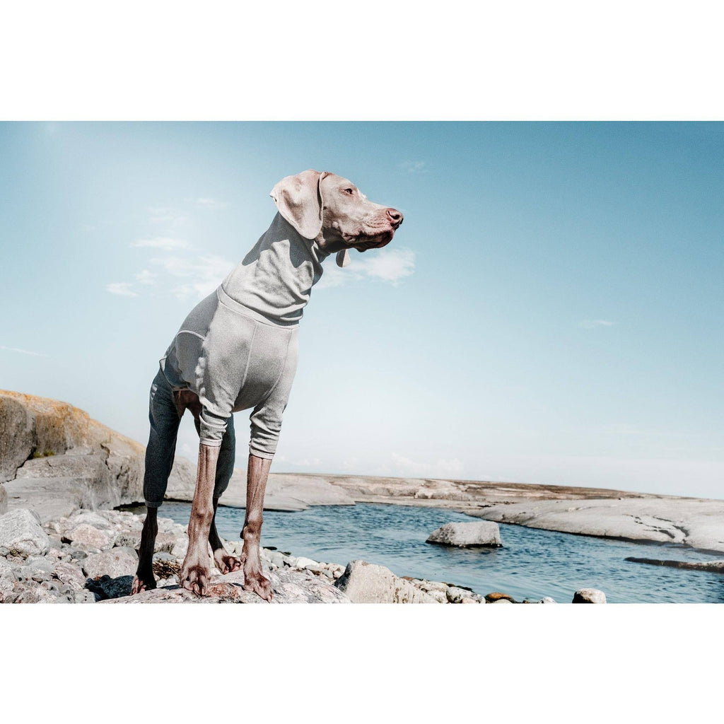 Carbon Grey Dog Body Warmer D5321