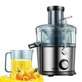 800W Wide Mouth Juicer Y500