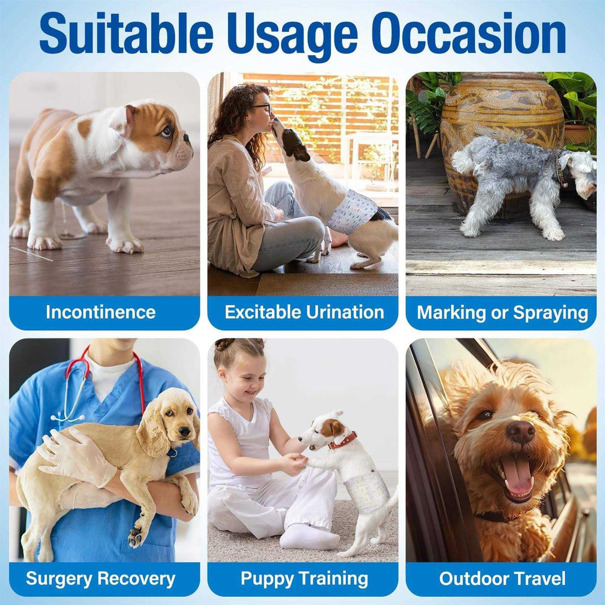 Soft Disposable Male Dog Diapers L557