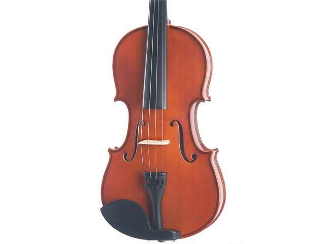 14-inch Solid Wood Viola with Case, Bow, Rosin, Bridge and Strings H97545