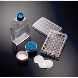 6 Well BioCoat Plates C510
