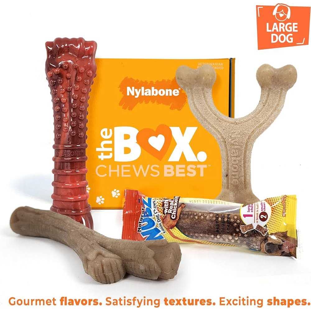 Chew Toy & Treat Gift Box L167486