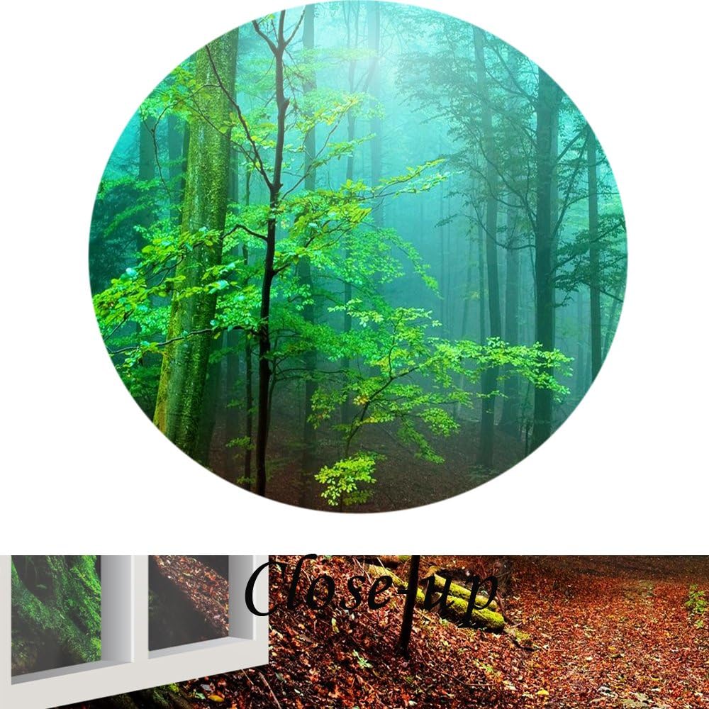 Canvas Print Wall Art Green Forest Landscape Picture O873