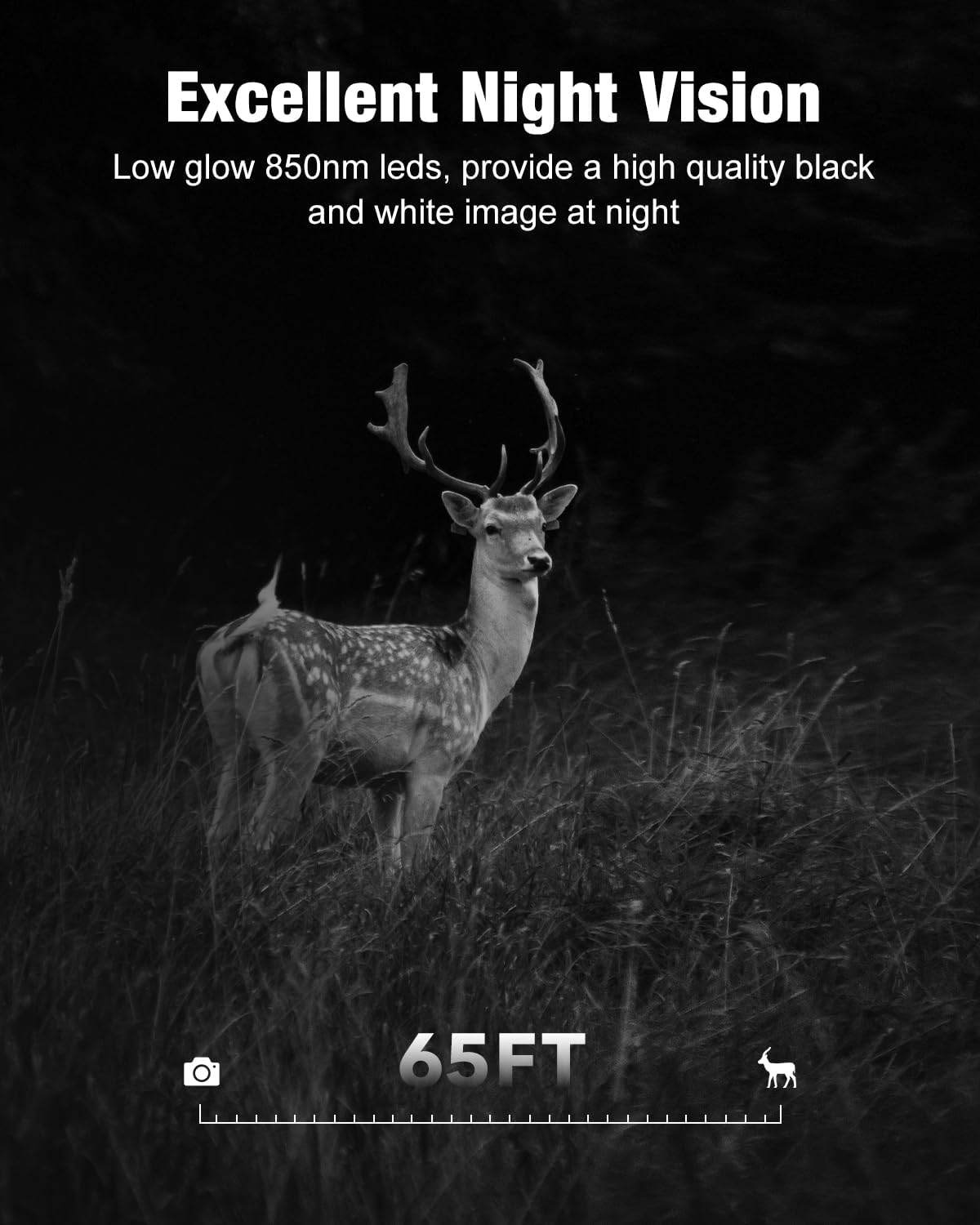 4G LTE Cellular Trail Camera with Solar Power L363
