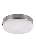 3 Lights Indoor Flushmount G3017