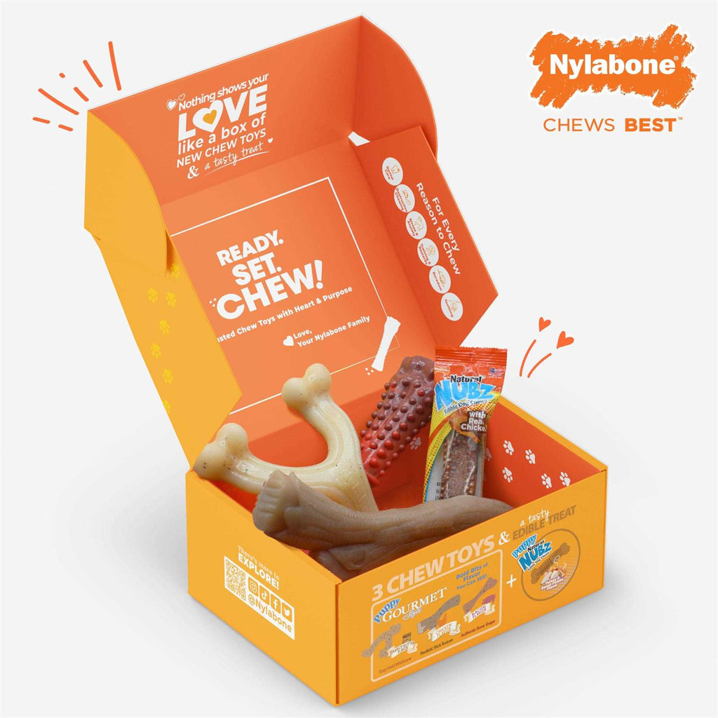 Chew Toy & Treat Gift Box L167486