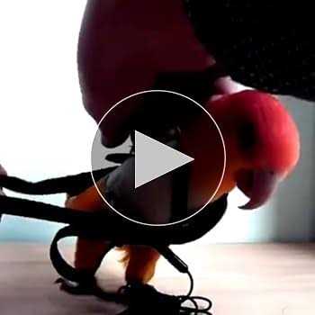 Adjustable Bird Harness and Leash I926