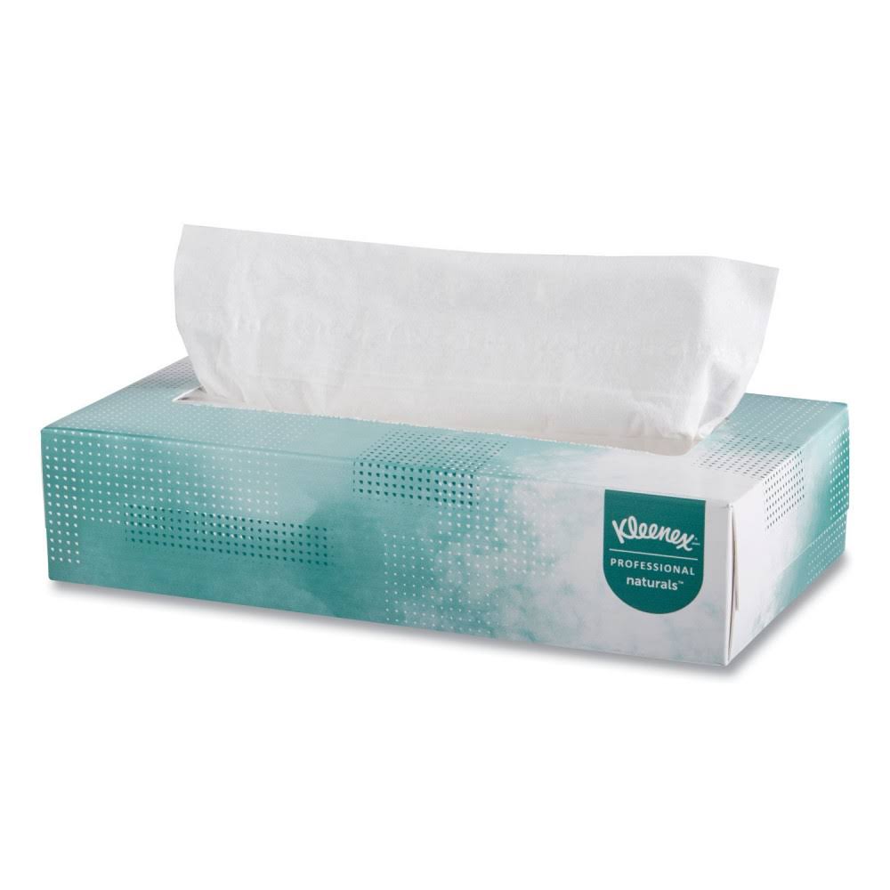 48 Boxes 2-Ply Facial Tissue Y6139